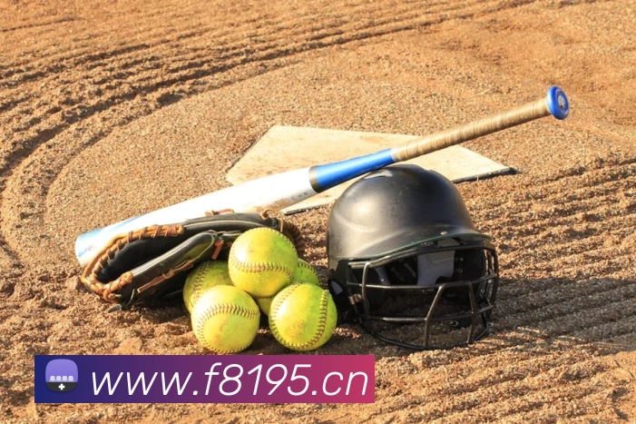 华体官网登录入口手机版发展历程